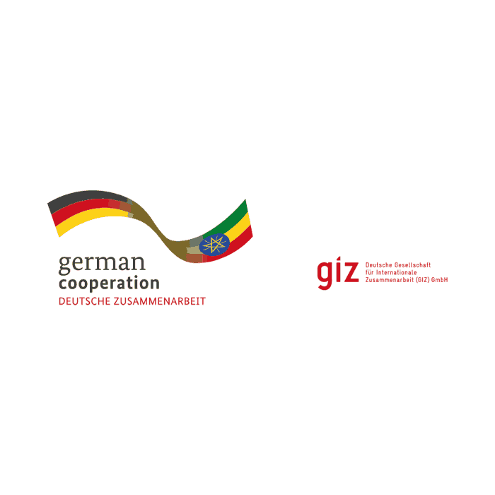 Logo GIZ Ethiopia